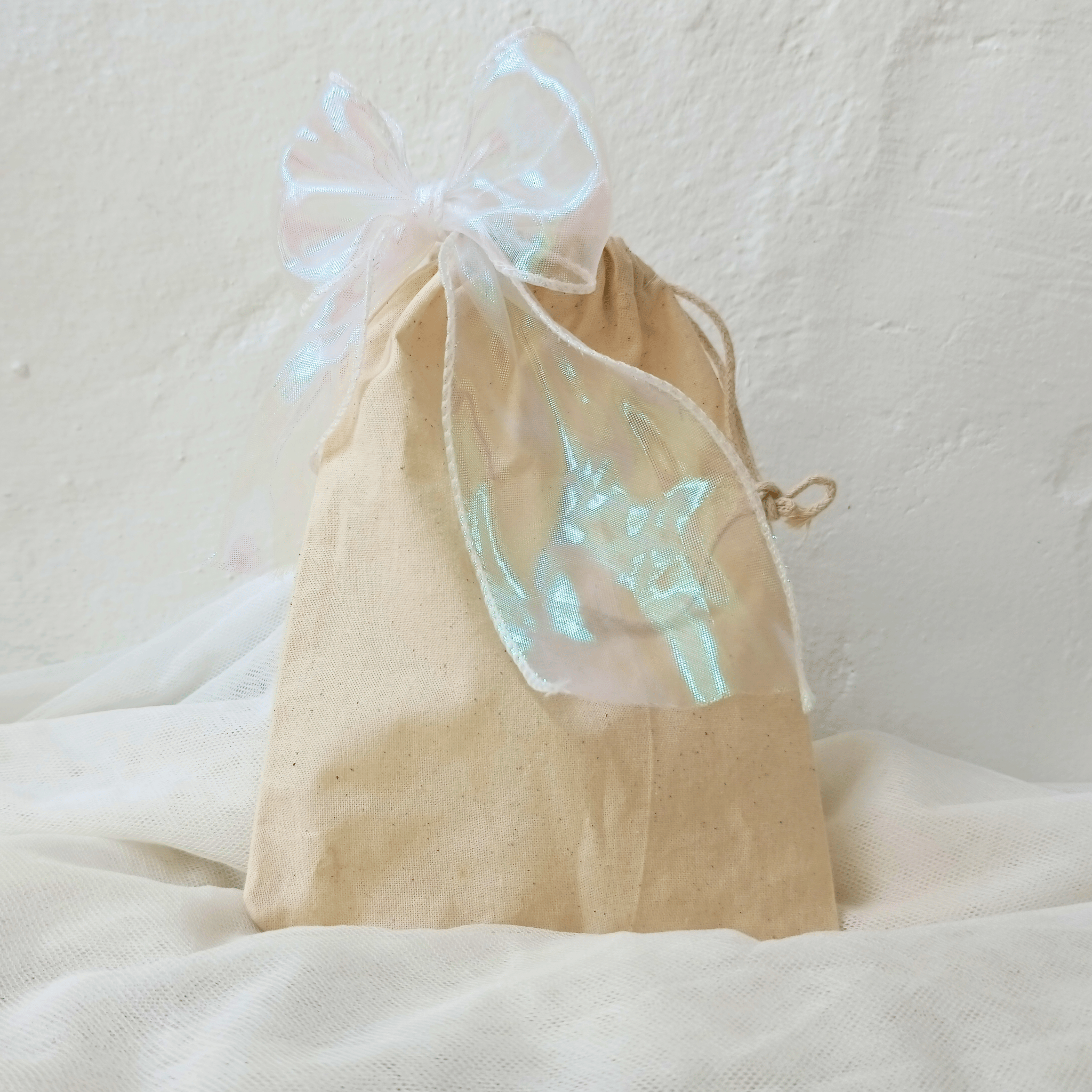 Shimmery Bag