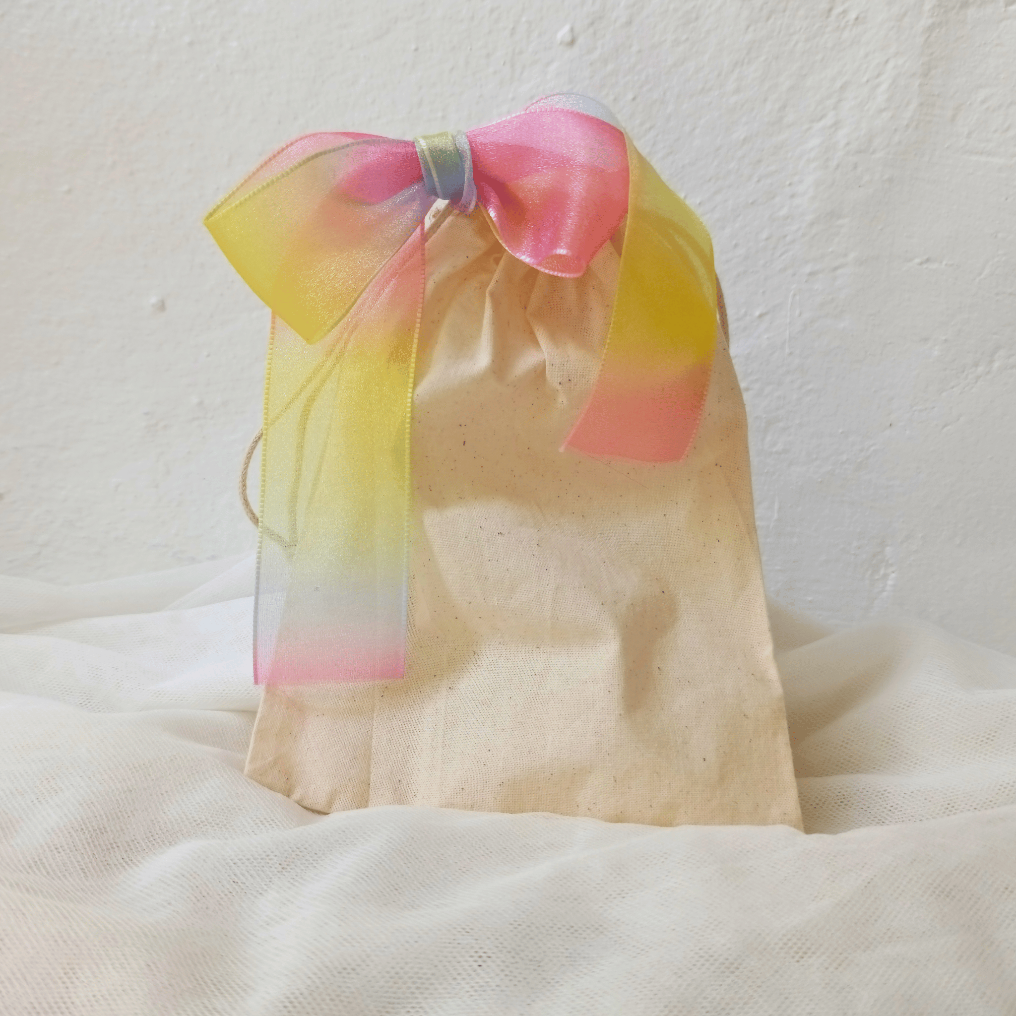 Rainbow Bag