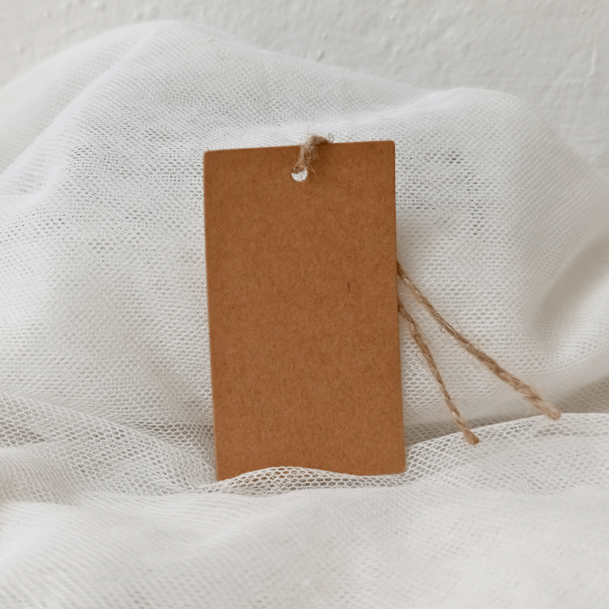 Simple Kraft Tag